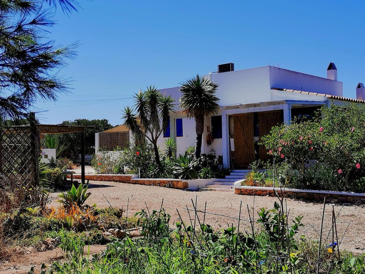 Holiday home Ca N'antonia Formentera San Francisco Javier
