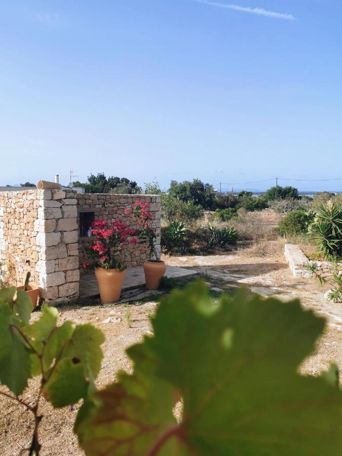Ca N'antonia Formentera Holiday home *